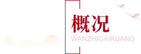 湾沚概况