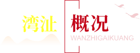 湾沚概况