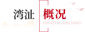 湾沚概况